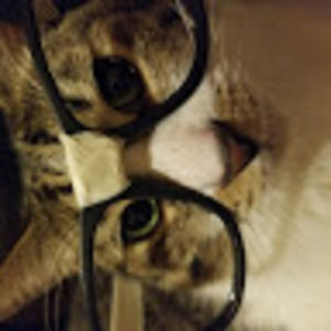 Meet your Posher, Just-a-cat